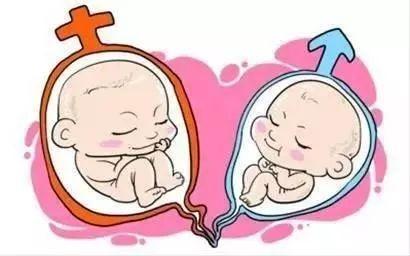 有偿同志供卵代孕怎么预约